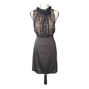 BCBG Max Azria Lace Sheer Silk-Lined Dress Sz 10